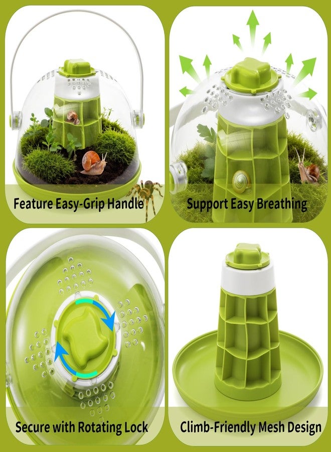 ELFULLY Snail Terrariums Breeding Box, Plastic Round Snail Habitat, Clear Feeding Box with Air Vents & Removable Base, Small Insect Feeding Bin for Beetles Spiders Ladybugs, Starter Terrarium Kit - Image 3